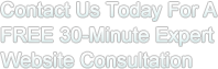 Free 30 Minute Expert Website Consultation